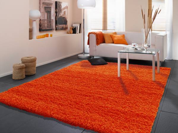 FORUM FASHION Hochflor-Teppich