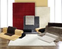 Vorschau: BALLROOM SHAGGY Hochflor Langflor Teppich Vorschau: BALLROOM SHAGGY Hochflor Langflor Teppich