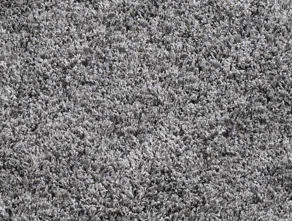 BALLROOM SHAGGY Hochflor Langflor Teppich