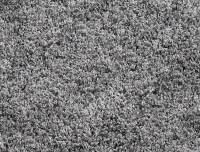 Vorschau: BALLROOM SHAGGY Hochflor Langflor Teppich Vorschau: BALLROOM SHAGGY Hochflor Langflor Teppich